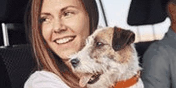 Champion Auto Insurance: woman with her dog in a car